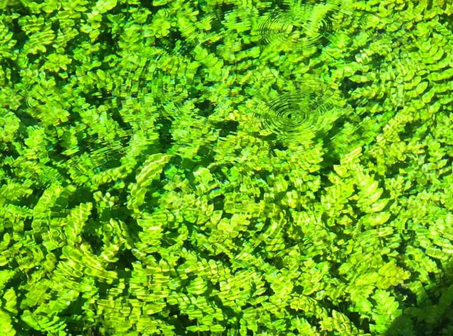 Schermata 2015-09-01 alle 00.29.29