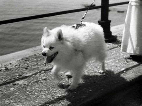 tumblr_nicheixLDz1titnepo1_1280