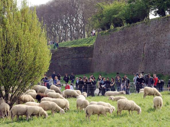 4317.0.401960081-0021-kY8G-U43490176371209z3-1224x916@Corriere-Web-Sezioni-593x443