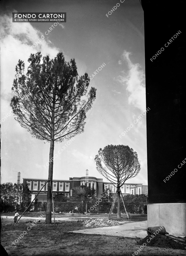 ser. 694 - Fondo Cartoni - © Centro Studi Giorgio Muratore - Archiwatch.it